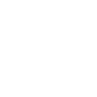 NuDedsec's emblem