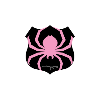 ArcaNoodle's emblem
