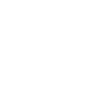 Nikitozz55's emblem