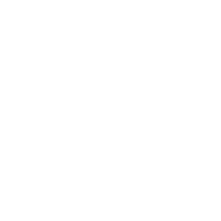 f9b9994a72c3b293's emblem