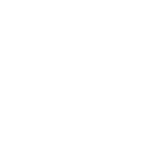 SavageMicrowave's emblem