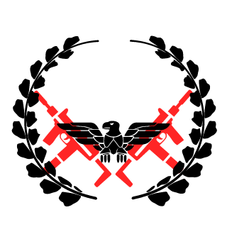 LaffsDynamics's emblem