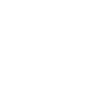Kiweezy's emblem