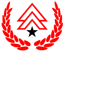 IEAI6699I's emblem