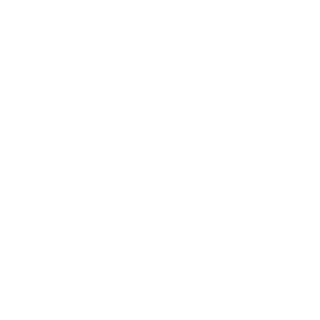 SoloDeGuitarra's emblem
