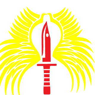 RNM62984535's emblem
