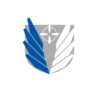 Rivaille335's emblem