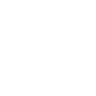 VirPilot's emblem