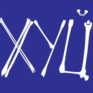 HUtorX's emblem
