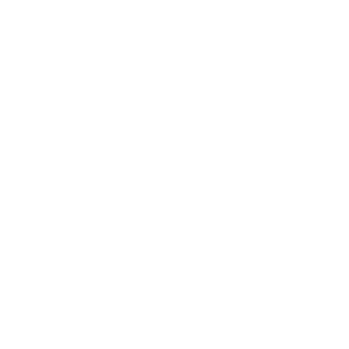 Paulo_luchi's emblem