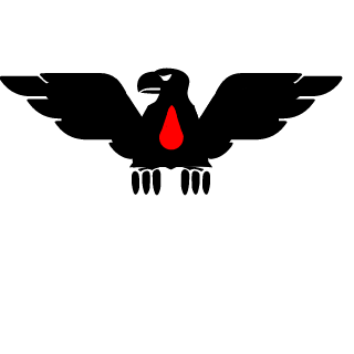 EkstelNe's emblem