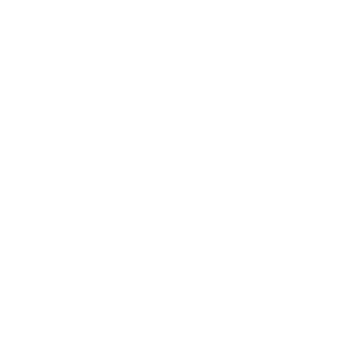 Datasipsi's emblem