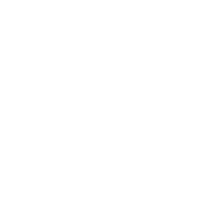 69thBuLLeTZA's emblem