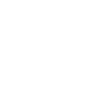 TazVE's emblem