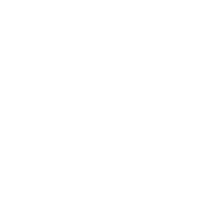 Rus42_FOX's emblem