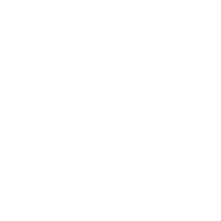 NTTHRASH42's emblem