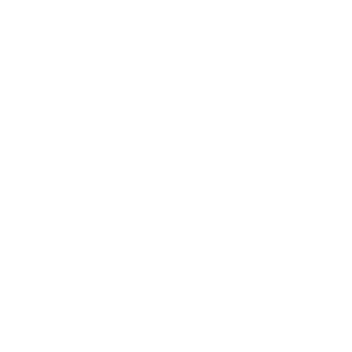 Nec0ne's emblem
