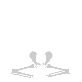 H0B0 CRUNCH's emblem