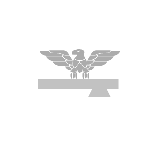 cebularz00's emblem