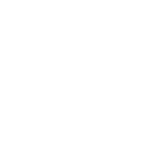 Anarchy_Arcade's emblem