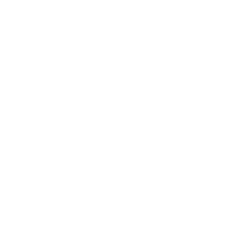 NZ30254's emblem
