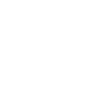 dn1337's emblem