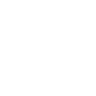Sistem_inf's emblem