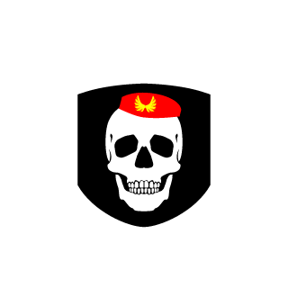 n3rwar's emblem