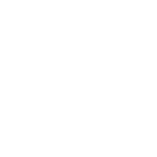SiintX's emblem