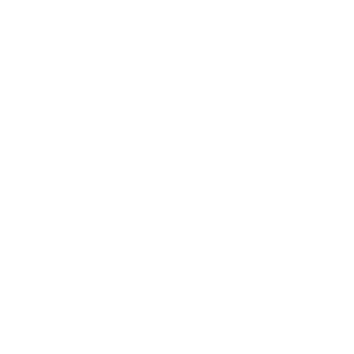 PolishedTrain's emblem