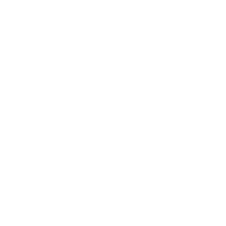 1HSN's emblem