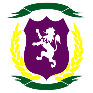 trubedourTV's emblem