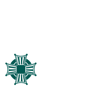 BrunoArneiro's emblem