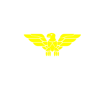 YouiiOk's emblem