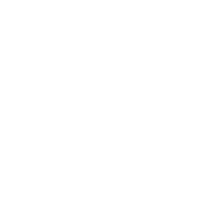 CyberChrist's emblem