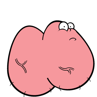 musclesdyn4mite's emblem