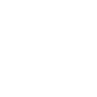 Orlando8991's emblem