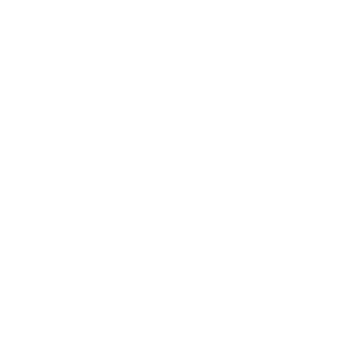 ph34rgeneral's emblem