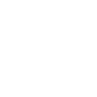 Saivior1337's emblem
