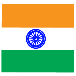 INDIAN TERMINATORS's emblem