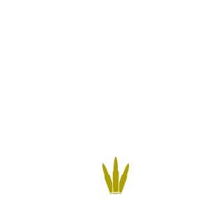 TW_MrNoob's emblem