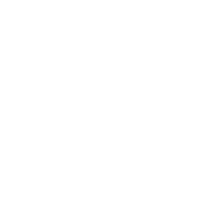 set_163's emblem