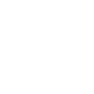 TytusTheToaster's emblem