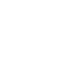 noodle1320's emblem