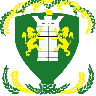 Irish Zamboni's emblem