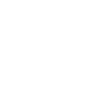 490vy's emblem