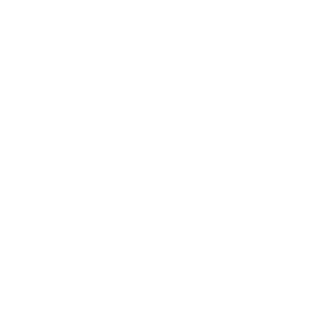 NecroDeux's emblem