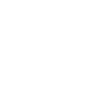 Brute1978's emblem