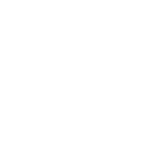 Decs13's emblem