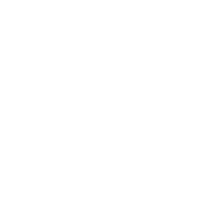 pirateenmer's emblem
